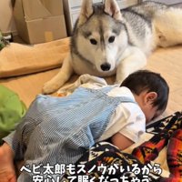 寝てしまった赤ちゃん