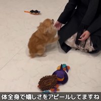 大はしゃぎ！