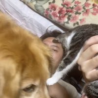 じゃれあう朝潮ちゃんとココちゃん