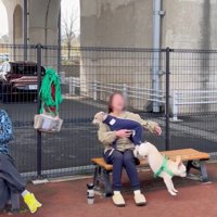 スキップ君の割り込みの手口2