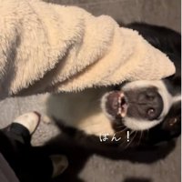 頭に手を乗せるララちゃん