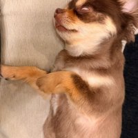 思わずクスッ