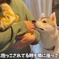 いつでも寄り添ういちみちゃん