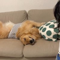 ソファでくつろぐにこちゃん