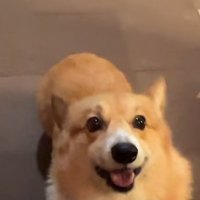 最後にはニッコリ