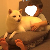 ソファでくつろぐ赤ちゃんと犬
