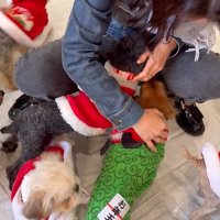 ラホちゃんとの出会いと現在4