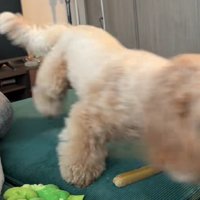 体を動かした拍子に…