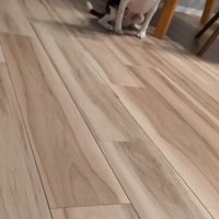 ペルルちゃんの「待て」2