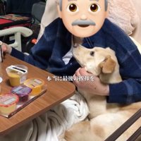 寄り添う犬