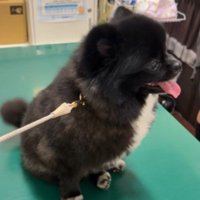 「今日は何をするのかな？」