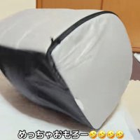 ジタバタして元に戻して…