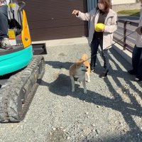 「早く乗らせて！！」