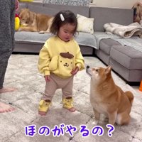 「ほのがやってあげる」