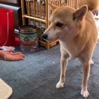 ママさんと再会したら…