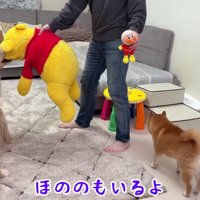 「はやく！！」