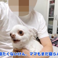 「ママも一緒に起きていてくれないとヤダ！」