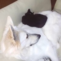 仲良しなリリーちゃん＆タンタンちゃん