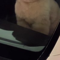 車に戻ってみると…