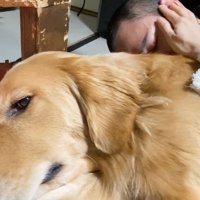 「ヴ～ッ」と唸るジョイくん