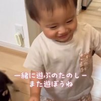 笑顔で歩く男の子と、その隣をついていく子犬
