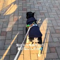 おしゃぶりを拾ったととまる君5