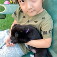 抱っこする男の子