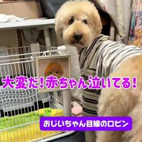 赤ちゃんとの出会い