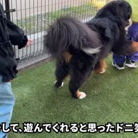 「遊んでくれるの？やった～♪」と大喜び