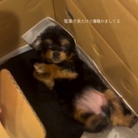 慌てて飛び起きる雨ちゃん