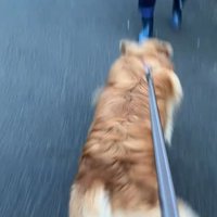 ピノくんとご夫婦の再会3