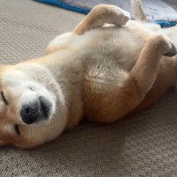 穏やかな寝顔も素敵…♪