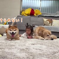 うにくんがチャンピオン！？