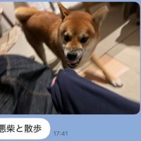 悪い顔のふうたくん