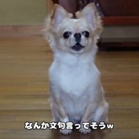 文句を言いながら健気に待つ姿にキュン♡