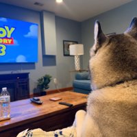 映画を観る時も一緒♪