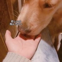 優しさに溢れてる