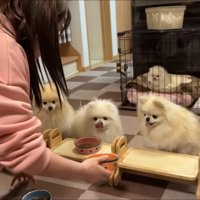 「早く食べたい！！」