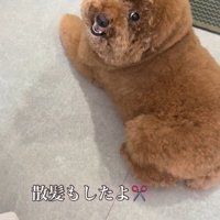 可愛らしい姿に変身♡