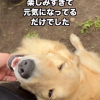 笑顔のちあちゃん