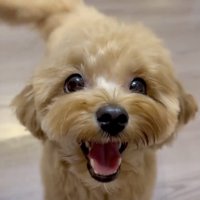 変わらない笑顔！