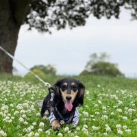 幸せそうな顔に涙…