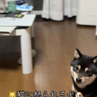 「え…なんで…？」