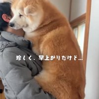 抱っこされるおはるちゃん