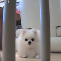 カメラを