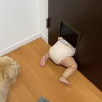 可愛すぎる光景にほっこり♡