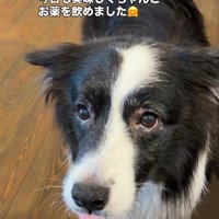 天才的なアイデア