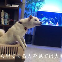 人が出てくるたびに大興奮！