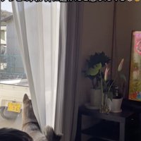 じっくり探します