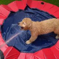 お水をパクパクッ